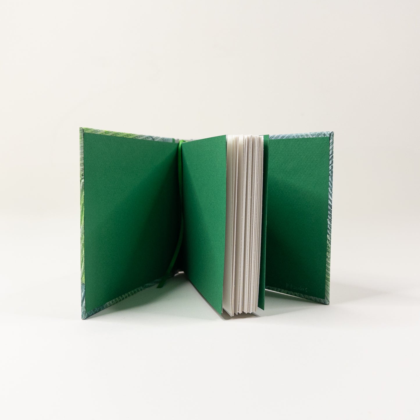 Handmade Casebound Book - Green and Silver