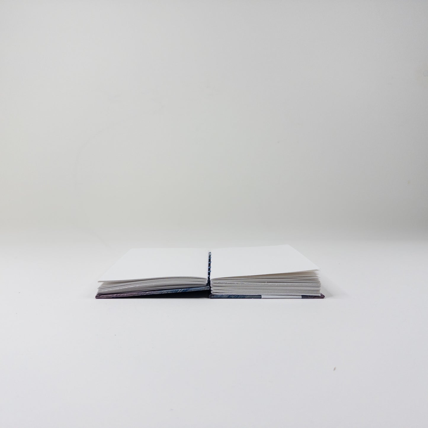 Coptic Stitch Handmade Book - Purple and Blue