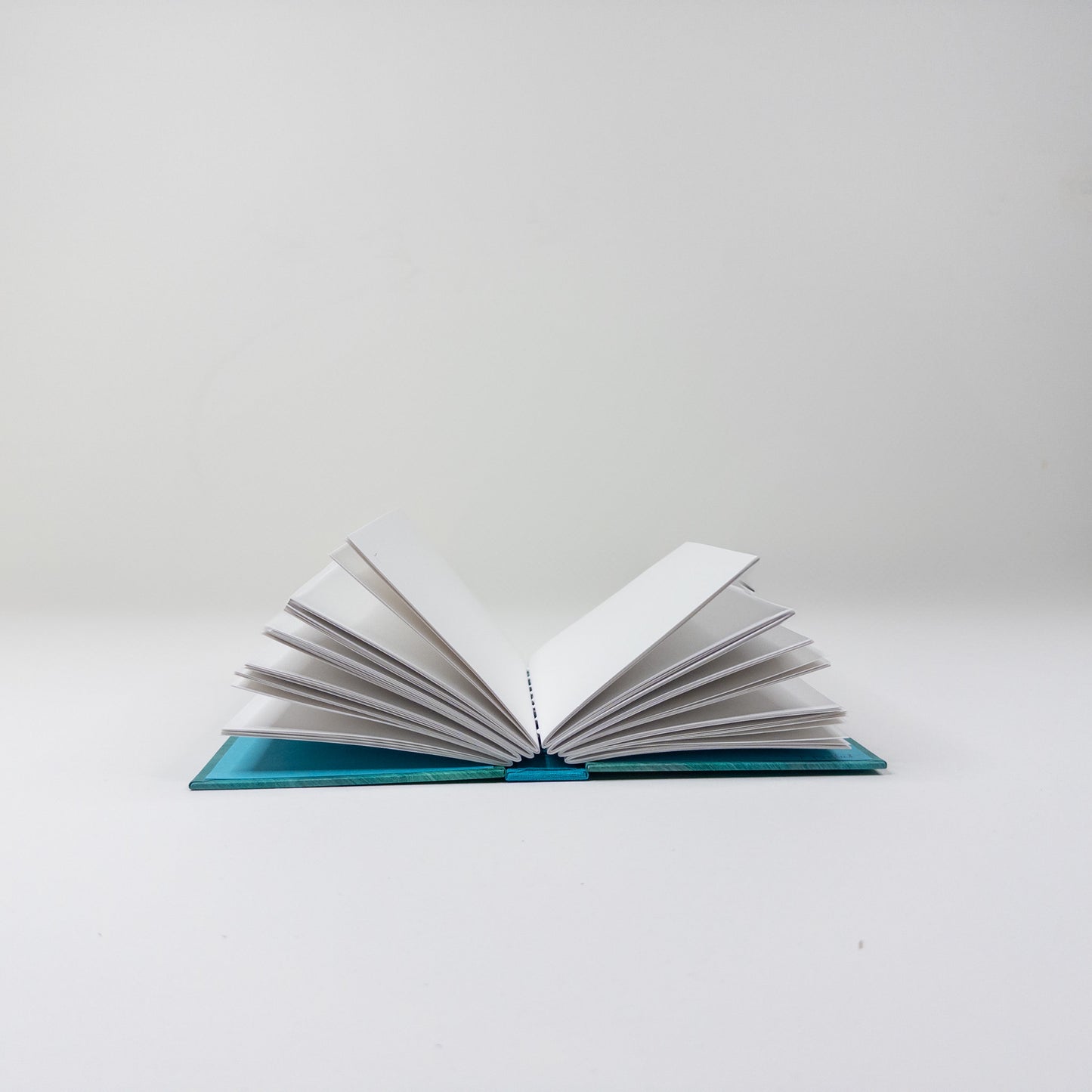Secret Belgian Hand Bound Book - Teal and Silver