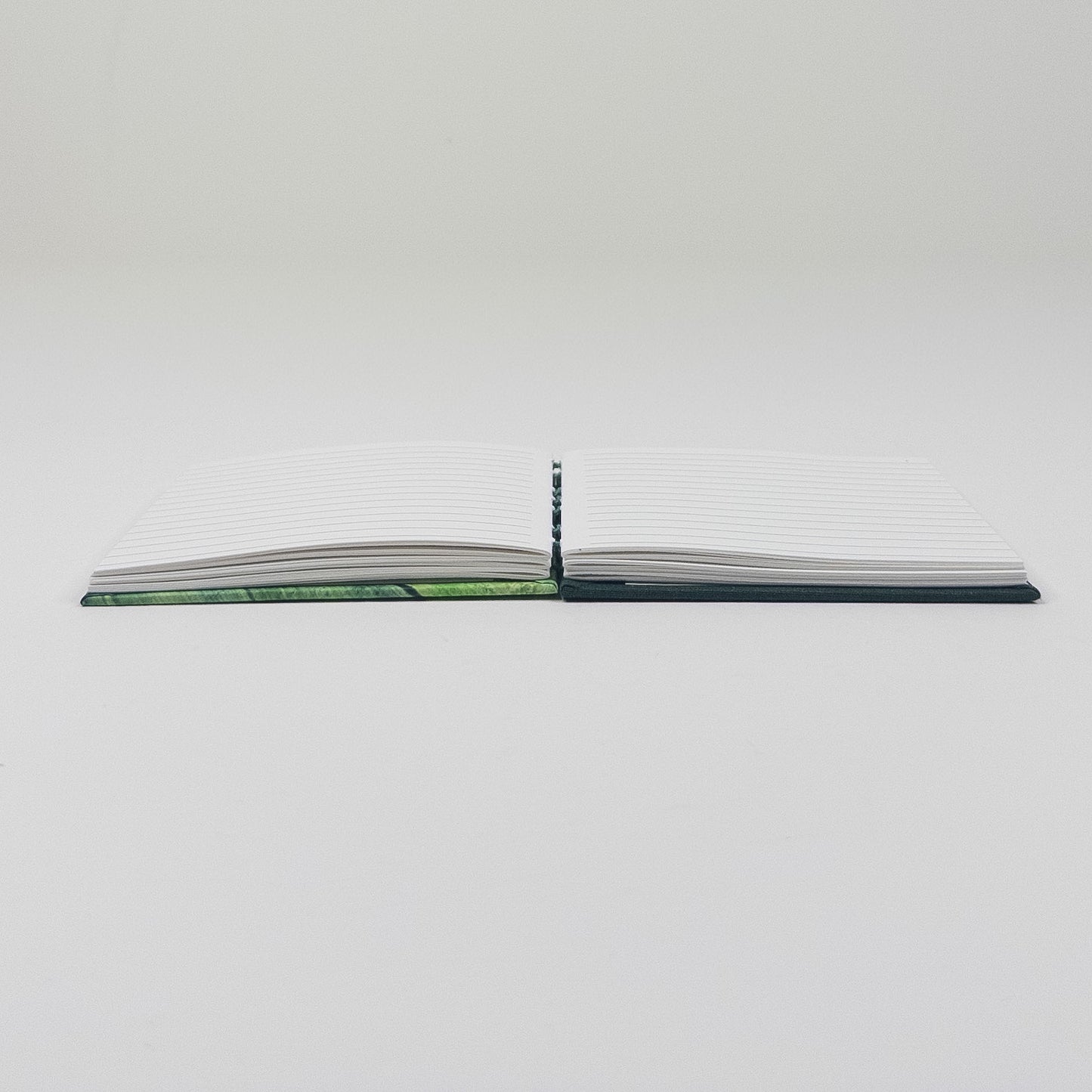 Coptic Stitch Handmade Book - Green